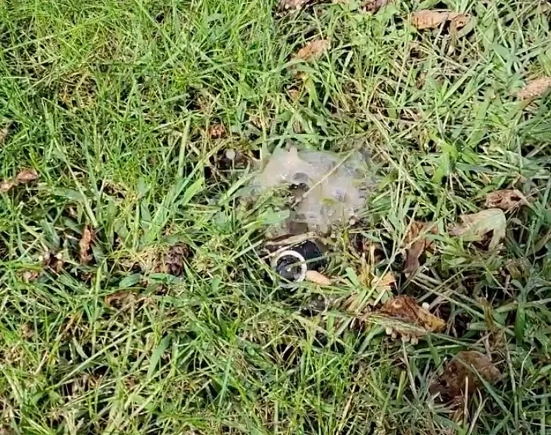 Broken sprinkler head in lawn grass with a damaged nozzle exposed above the soil line