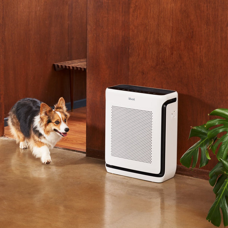 Levoit Vital 200S-P smart air purifier in white with front intake grille and top controls